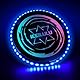 IEEILULU Leuchtende Frisbee, Ultimate Frisbee LED, Leuchtende Flugscheibe mit 49 LED-Lichter, Wiederverwendbar, LED Frisbee Disc Spaßsport für Kinder Erwachsene Rasenstrand im Freien (Blue)