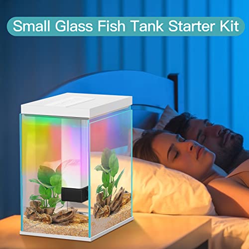 Glass Betta Fish Tank Starter Kits, 2 Gallon Fish Tank with Heater Filter and Light, Self-Cleaning Small Fish Tank.