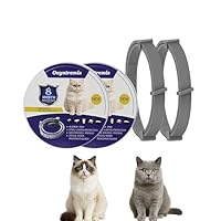 2er Set Katzenhalsbänder, Wasserdicht und Verstellbar, 39cm lang, Mit Natürlichen Ätherischen Ölen, Bietet Komfort und Schutz, Geeignet für Katzen ab 7 Wochen