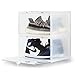 BOGO BOX Set of 2 (Clear) Plastic Shoe Box Sneaker Crates Storage Container Magnetic Side Drop Door