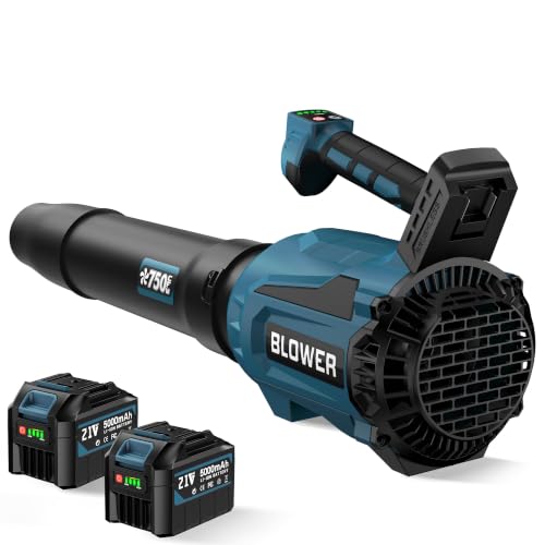 Souffleur Feuilles Rechargeable 2026, 2 x 5AH Batteries Chargeur, 750CFM 250MPH 6 Vitesses
