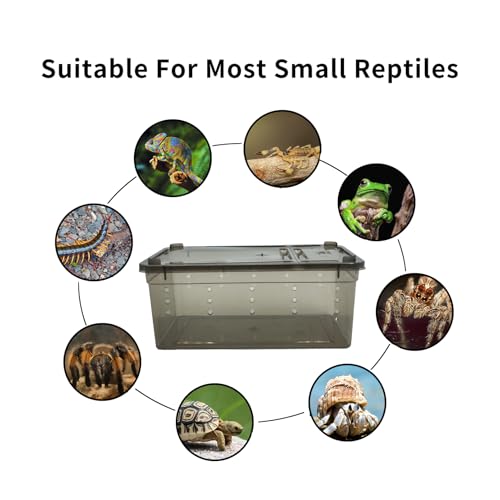 Image of PINVNBY 8 PCS Reptile Feeding Box Portable Snake Breeding Box Reptile Transport Container 7.48 inchx4.92 inchx2.95 inch Plastic Pet Houses for Lizard Spider Scorpion Gecko Insect Tortoise Treefrog(Black)