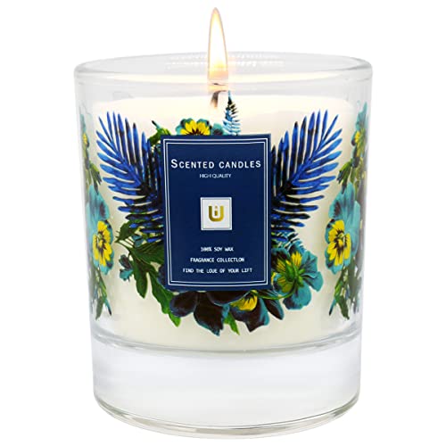 Henaler Scented Candles Aromatherapy Gifts For Women | 8 Ounce Jar Candle Long Lasting Scented Candles For Home | Stress Relief Soy Candles | Office Gifts For Women- Juniper & Lavender #TOP2