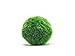 Terrarium Kit With Live Marimo Moss Balls - Small Glass Bottle Starter Set for Easy Indoor Plant Terrariums - Natural Centerpiece for Home Decor / Unique Gift Ideas by Aquatic Arts