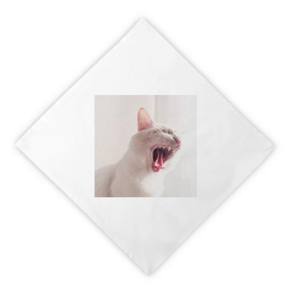 Servilletas lavables para eliminar el papel, tela blanca con estampado de gato feroz, 2 piezas