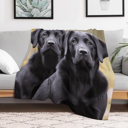 Couverture polaire douce flanelle lavable pour canapé et lit de ferme