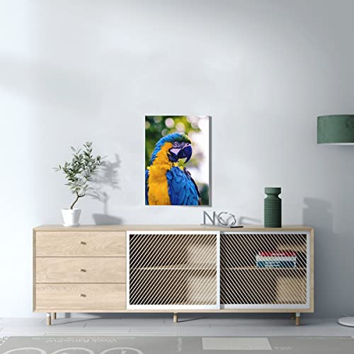 Ara bleu perroquet tableau Coco pour raviver un mur blanc