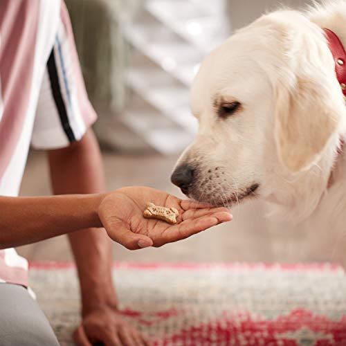 Milk-Bone Dipped Dog Biscuits Baked With Real Peanut Butter, 32 Ounces (Pack Of 2) #TOP5