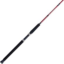 PENN Boat Fishing Rod