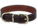 Tellpet Real Leather Dog Collar, Brown, Small