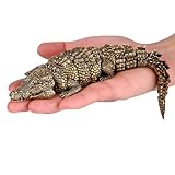 NHDT SW915 Flexibility to Change Shape Crocodile Statue Brass Decor.Home Office Desk Decoration