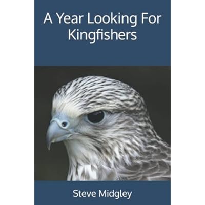 A Year Looking For Kingfishers