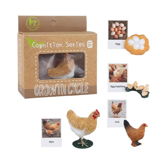 Animal Flash Cards, Educational Kids Toys, Matching Animal Cards, Animal Life Cycle Toys, Learning Flash Cards, Preschool Educational Toys, Kindergarten Learning Tools, Cute Learning Toys,