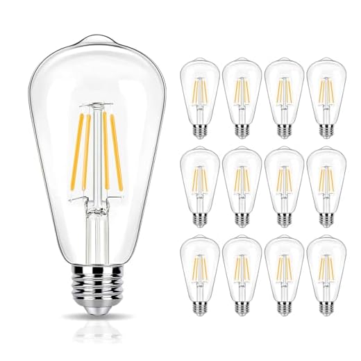 12 Pack LED Edison Bulbs 40w Equivalent, 4 Watt LED Filament Bulb, 2700K Soft White ST19 Light Bulb, 450lm E26 Vintage LED Bulbs for Ceiling Light Fixture, Non-dim