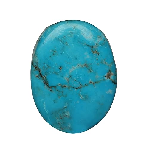 GEMHUB 17.9Jbg VRȉ~` J{V u[ ^[RCY [XXg[ WG[ WG[p {̕