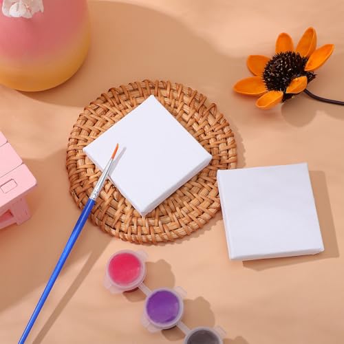 24 paneles de lienzo blanco para pintar en bastidor firme diy 8