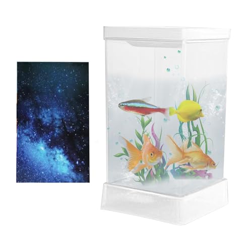 x^ - tB^[ƃCgt̓x^Zbg,^ŃrO⏑ցAAp[gɍœKȃe[ugbv