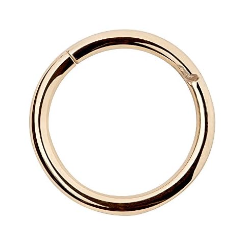 FreshTrends Stainless Steel Hinged Segment Cartilage Nose Ring 18G Cover
