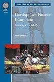 Development Finance Institutions: Measuring their Subsidy (Directions in Development)
