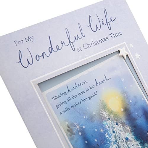 Hallmark Christmas Card for Wife - Classic Illustrated Design