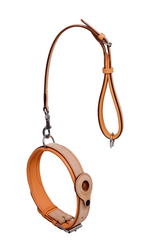 Collier AirTag cuir matériel antirouille grand chien XL - 5