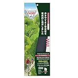 DSISソルボトレッキングエアWOMEN’SダークグレーS