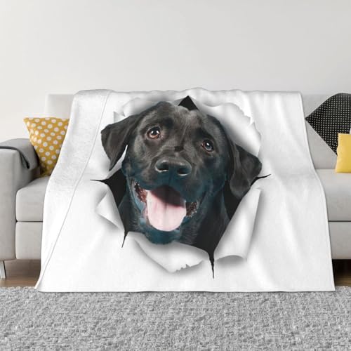 uPbg  uh[Ego[  킢  ѕz GARuPbg ӂӂ  tl Ђ| _炩G g Ódh~ 􂦂 lC v[g lGKp 125cmx150cm