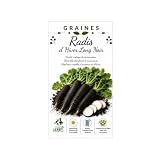 200 graines Radis long - noir hiver - radish