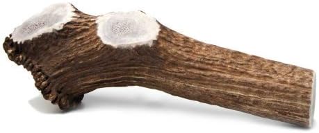 Chasing Our Tails Elk Rack Snack, 100-Percent All Naturally Shed Elk Antler Chew, Extra Large Size 10-Inch to 12-Inch, For up to 90# Dogs