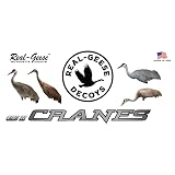 Real-Geese Decoys Gen 3 Sandhill Crane Decoys