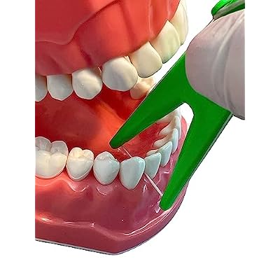 Dental Floss Holder (Blue, Yellow, Green)