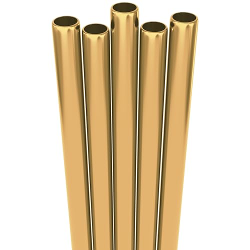 5 Short Wide Stainless Steel Straws with Brush