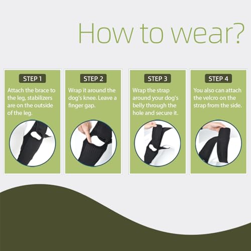 Image of Dog Hip Brace, Knee & Leg Support Brace for ACL Recovery, Ligament Injury - Breathable & Adjustable Dog Leg Brace for Senior Dogs, Post-Surgery Rehabilitation & Mobility Aid(Size S)