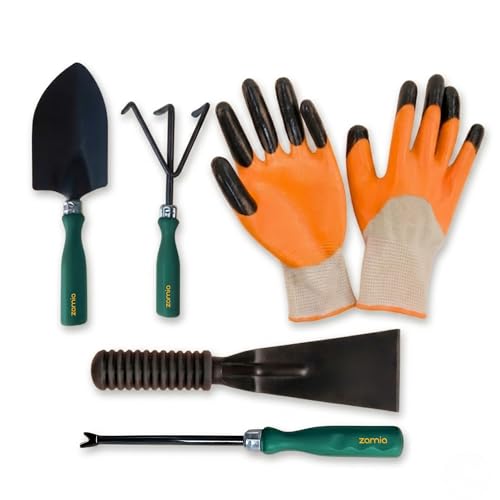 Image of Zamia Gardening Tools Kit, Set of 5, Khurpi, Gloves, Trowel & More