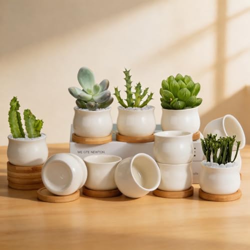 ZOUTOG 12 Pack Succulent Pots, 2.6 Inch Mini Ceramic Pots