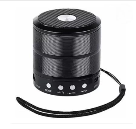 WS Mini Bluetooth Speaker, 5W, Silver, with FM Radio, Memory Card Slot, USB Pen Drive Slot, AUX Input Mode, Compatible with All Devices-image-15