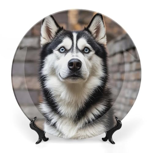 Plato decorativo de cerámica Husky Dog 8 pulgadas