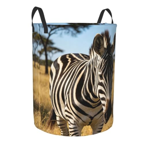 Laundry Hamper Waterproof Storage Bin Organizer with Handles Animal Zebra Laundry Basket Collapsible Dirty Clothes Hamper Large Clothes Storage Toy Organization for Bathroom Bedroom Medium - Image 8