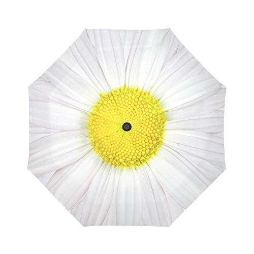 Interestprint Daisy Windproof Auto Open And Close Foldable Umbrella,Girly Flower Travel Unbreakable Compact Sun And Rain Umbrella Uv Protection,White And Yellow #TOP2