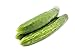 Slicing Cucumbers, Locally Grown, 2 Pounds