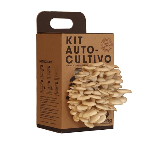 Kit Cultivo de Setas en Casa | Setas Ostra Gourmet Listas en 15 Días | Cultiva Tus Propias Setas Frescas | Regalo Original para Foodies, Cocineros y Amantes de la Cocina | Fácil y Rápido