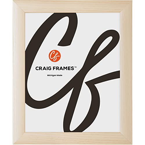Craig Frames 4x10 Natural Tabletop Picture Frame with Easel, for Photos