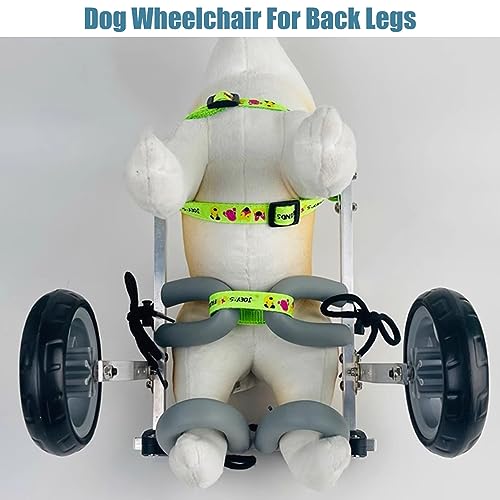 Poussette de dressage pour chiens handicapés et paralysés : aide à la marche - 5