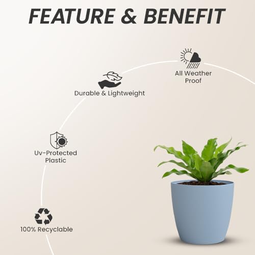 Image of YUCCABE ITALIA SHERA Stella 5 Inch Plastic Plant Pot for Home Decor Indoor Plant Pots for Living Room Plastic Flower Pot for Garden (Cyan, 5 INCH - 6 Pcs)
