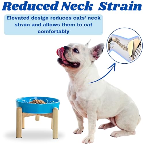 LE SERVETA Ceramic Slow Feeder Dog Bowls, Raised, 3 Cups Elevated Slow Feeder with Wooden Stand for Medium Large Breed, Puzzle Dog Food Bowl (Blue) by Le Serveta - Image 5