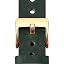 Army Green (Golden Buckle)