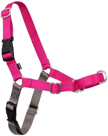 PetSafe Easy Walk Harness for Dogs - Pull-Free Walks - Patented M...