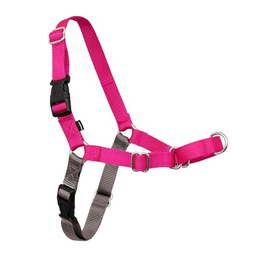PetSafe Easy Walk No-Pull Dog Harness - The Ultimate Harness to Help Stop Pulling - Take Control & Teach Better Leash Manners - Helps Prevent Pets Pulling on Walks, Medium/Large, Raspberry/Gray