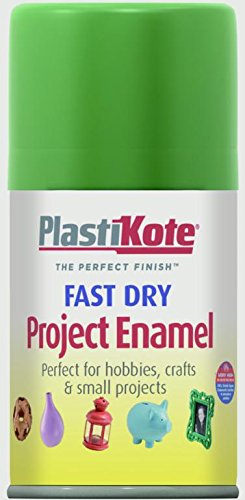 Plasti-kote Fast Dry Enamel 100ml Aerosol Garden Green by Plasti-Kote