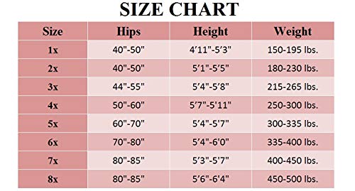 Lissele Women's Plus Size Day Sheer Pantyhose (Pack Of 3) (Suntan, 4X) #TOP6